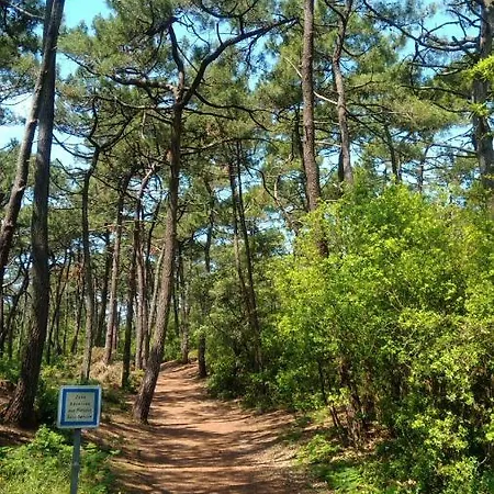 Vakantiehuis 7 Route Des Goffineaux *